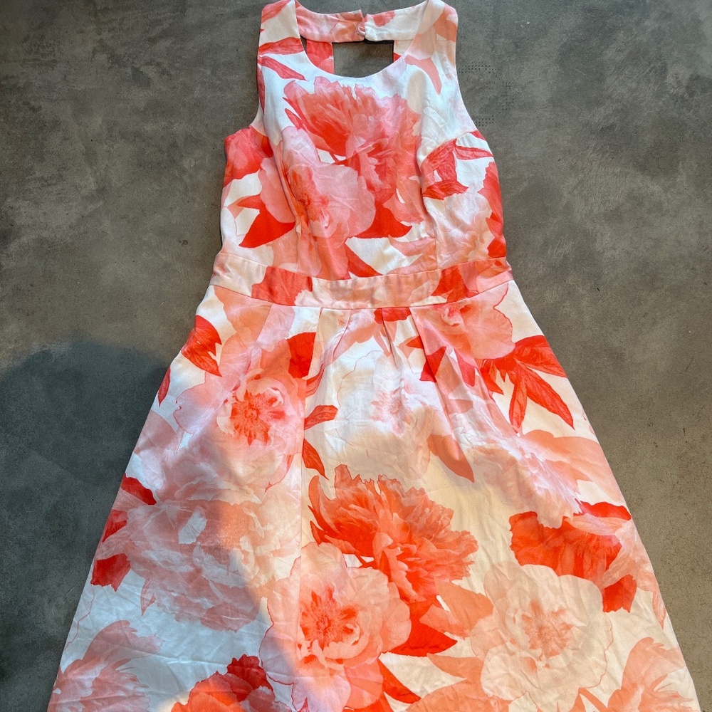 vintage picnic dress